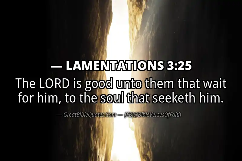 LAMENTATIONS 3:25 Verse