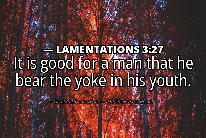 LAMENTATIONS 3:27 Verse