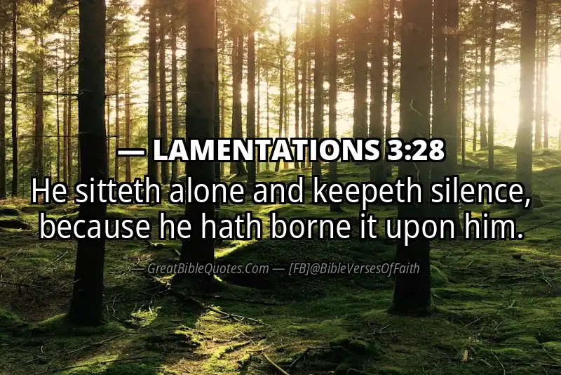 LAMENTATIONS 3:28 Verse