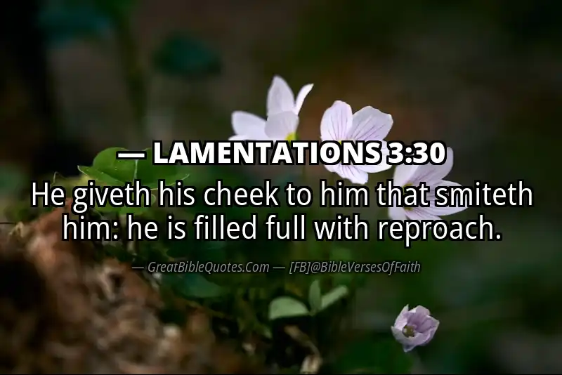 Bible verse: LAMENTATIONS 3:30 Image