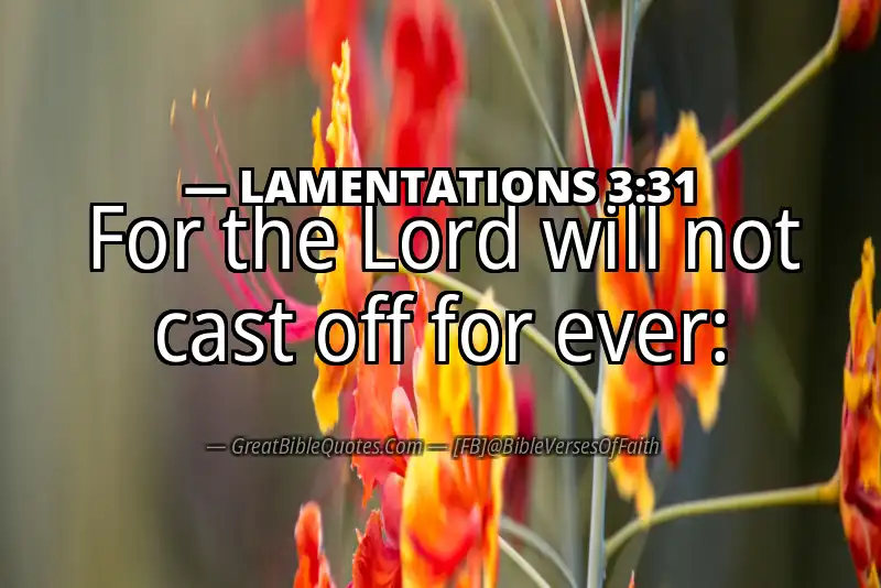 Bible verse: LAMENTATIONS 3:31 Image