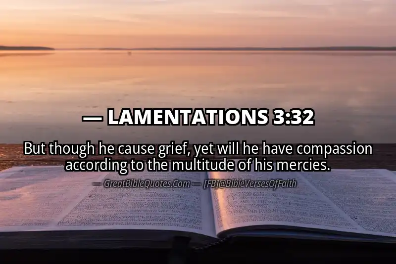Bible verse: LAMENTATIONS 3:32 Image