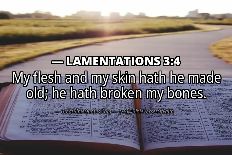LAMENTATIONS 3:4 Verse
