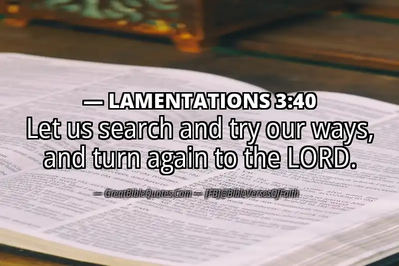 LAMENTATIONS 3:40 Verse