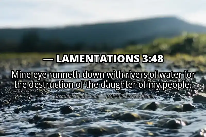 Bible verse: LAMENTATIONS 3:48 Image