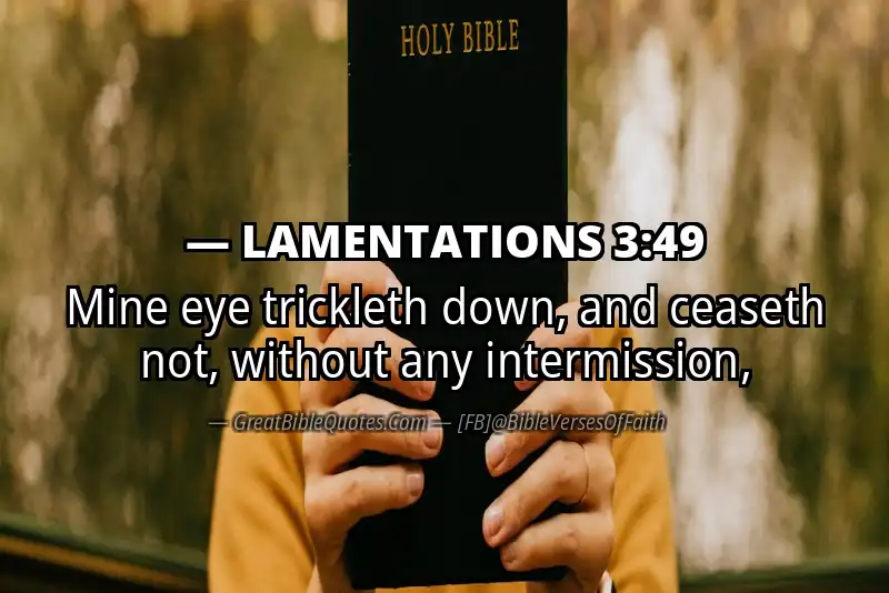 Bible verse: LAMENTATIONS 3:49 Image