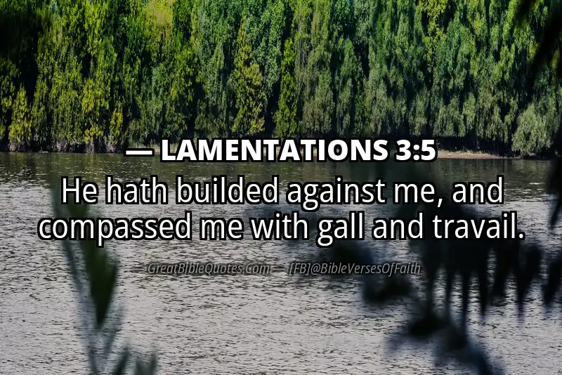 LAMENTATIONS 3:5 Verse