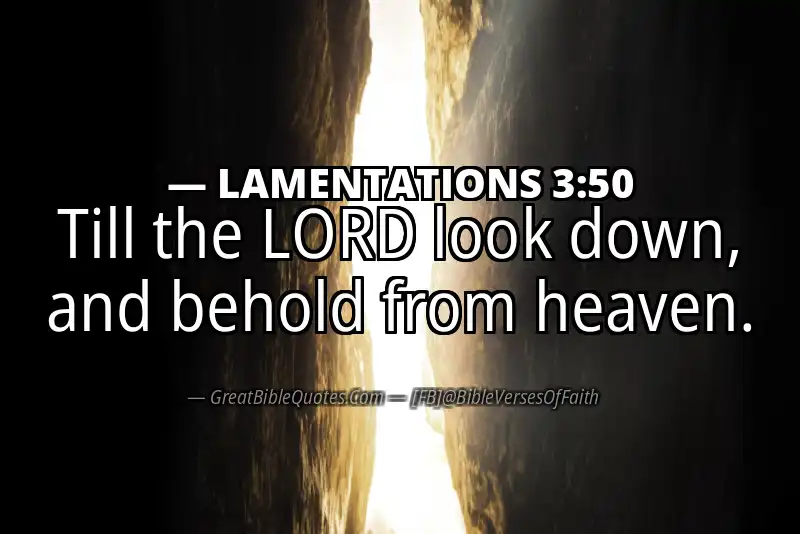 Bible verse: LAMENTATIONS 3:50 Image