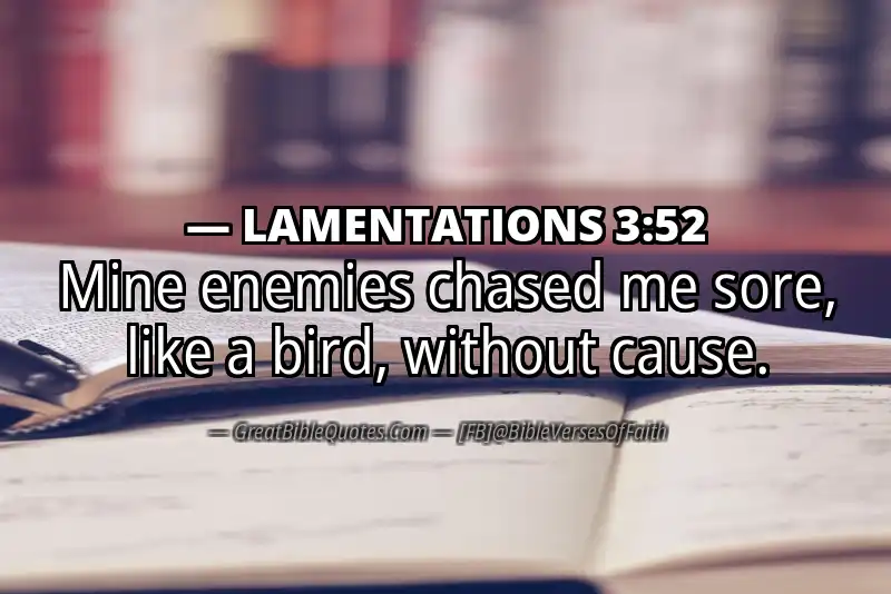 Bible verse: LAMENTATIONS 3:52 Image