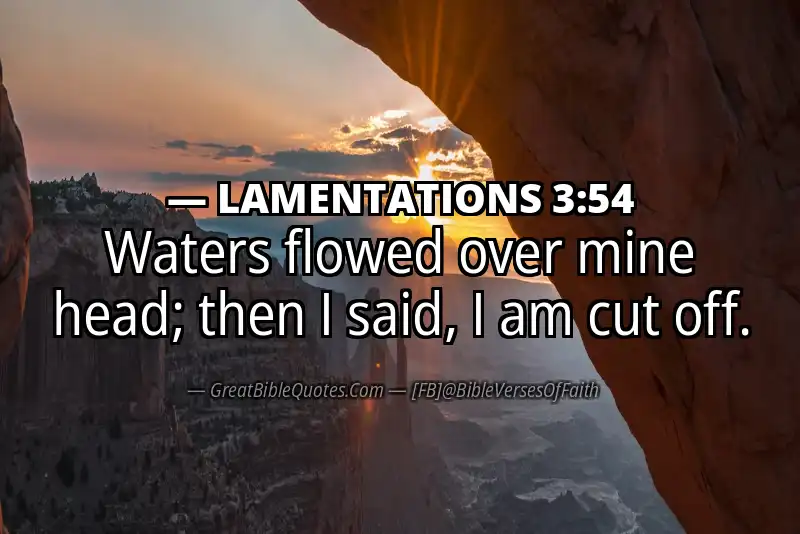 Bible verse: LAMENTATIONS 3:54 Image