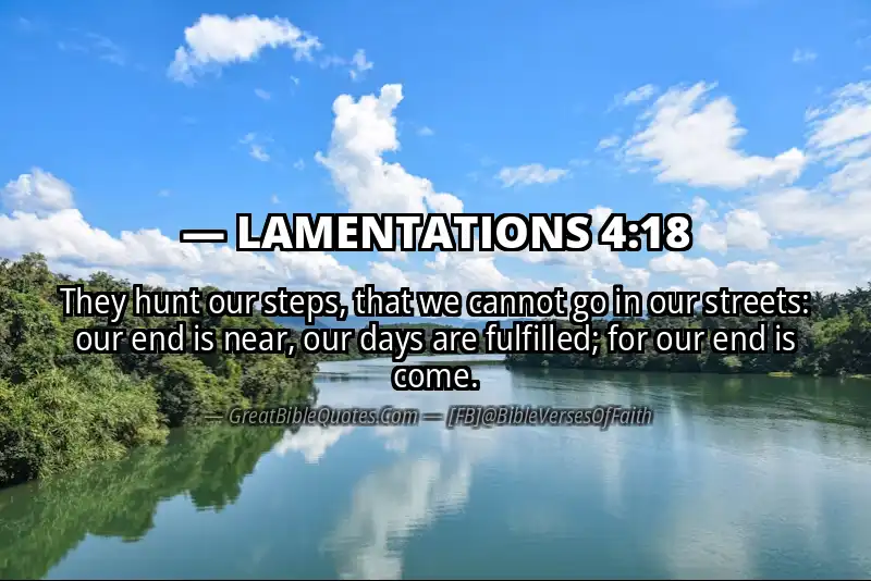 Bible verse: LAMENTATIONS 4:18 Image