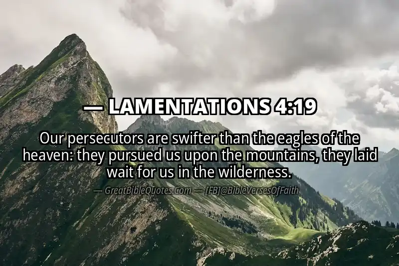 Bible verse: LAMENTATIONS 4:19 Image