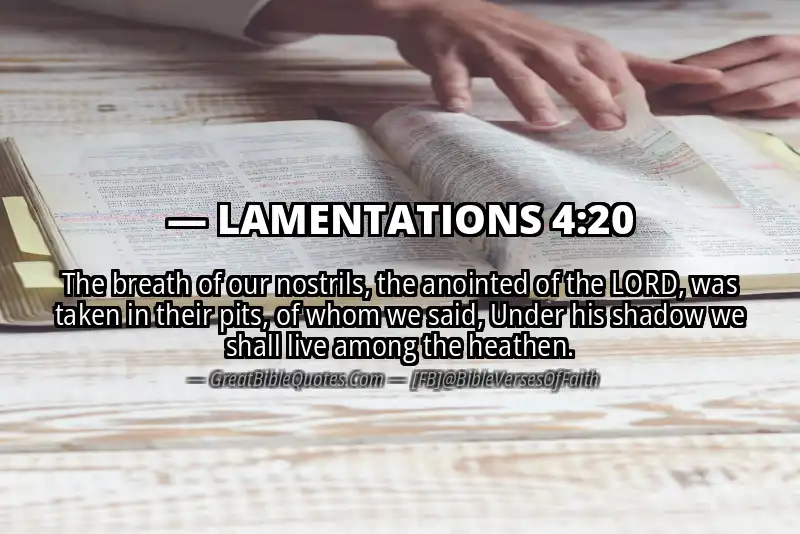 Bible verse: LAMENTATIONS 4:20 Image