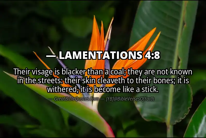 Bible verse: LAMENTATIONS 4:8 Image