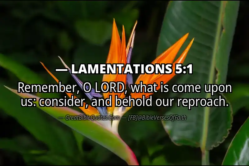 Bible verse: LAMENTATIONS 5:1 Image