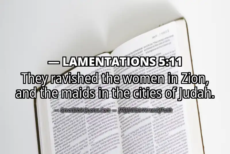 Bible verse: LAMENTATIONS 5:11 Image