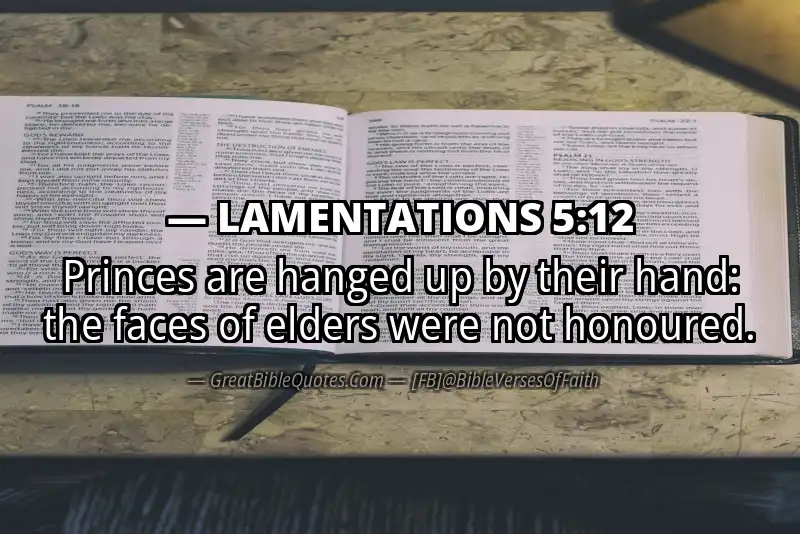 Bible verse: LAMENTATIONS 5:12 Image