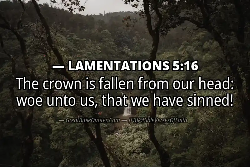Bible verse: LAMENTATIONS 5:16 Image