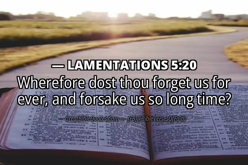 Bible verse: LAMENTATIONS 5:20 Image