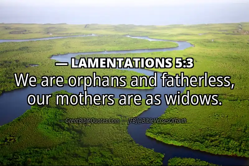 Bible verse: LAMENTATIONS 5:3 Image