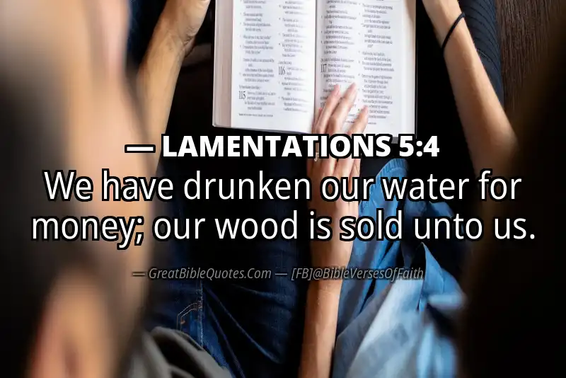 Bible verse: LAMENTATIONS 5:4 Image