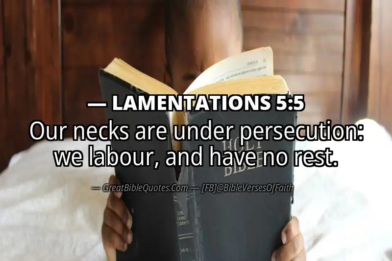 Bible verse: LAMENTATIONS 5:5 Image