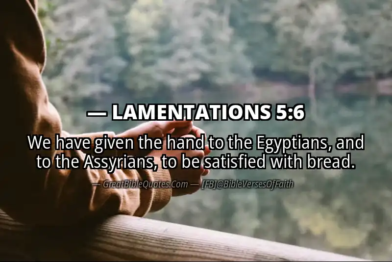 Bible verse: LAMENTATIONS 5:6 Image