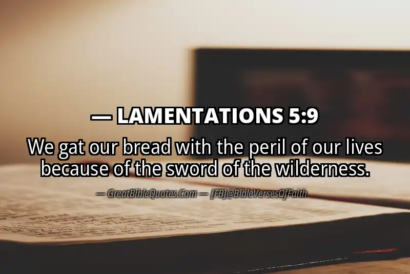 Bible verse: LAMENTATIONS 5:9 Image