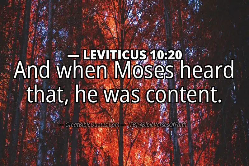 LEVITICUS 10:20 Verse