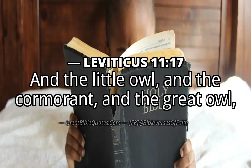 LEVITICUS 11:17 Verse