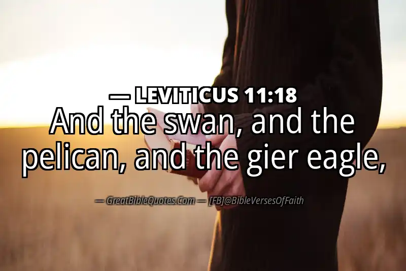 LEVITICUS 11:18 Verse