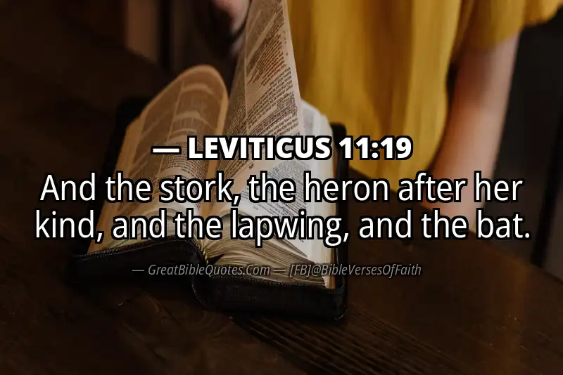 LEVITICUS 11:19 Verse