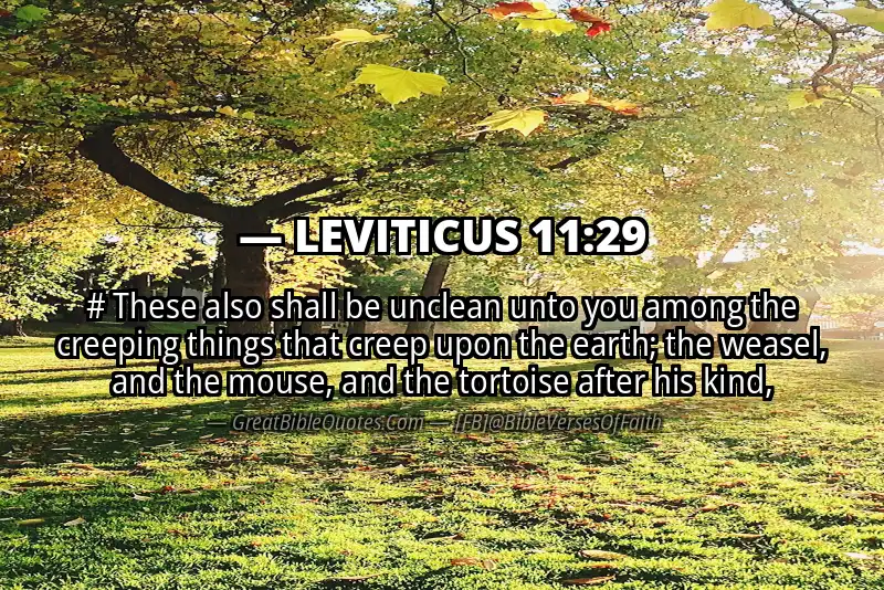 LEVITICUS 11:29 Verse
