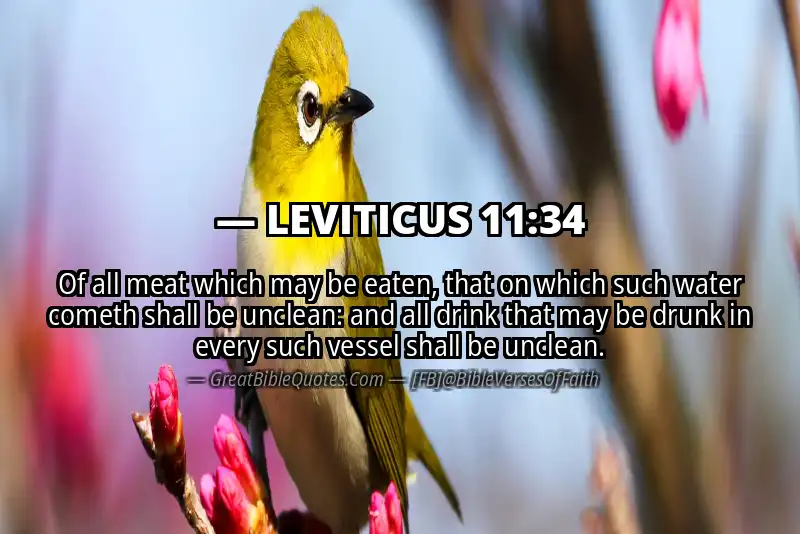 LEVITICUS 11:34 Verse