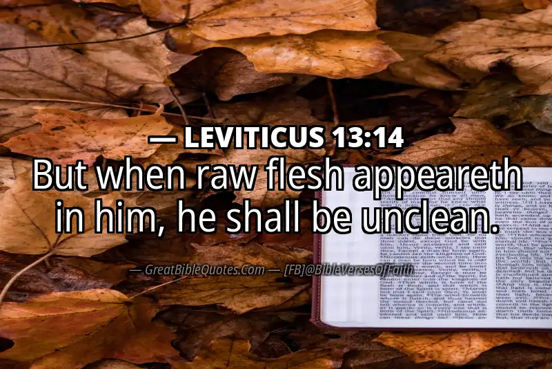 LEVITICUS 13:14 Verse Image