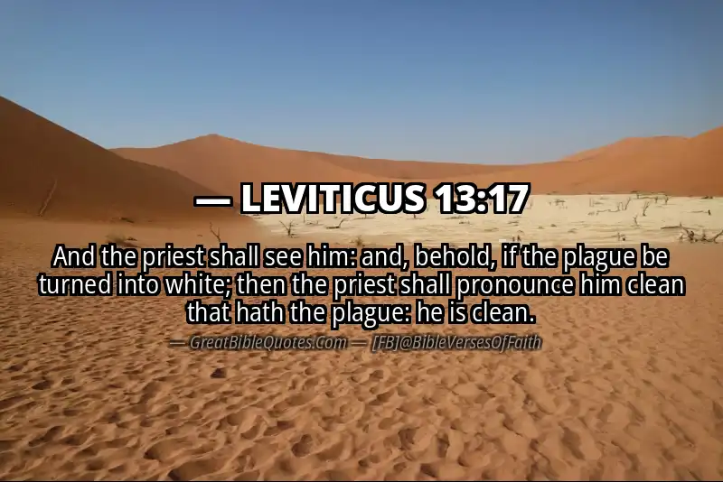 LEVITICUS 13:17 Verse