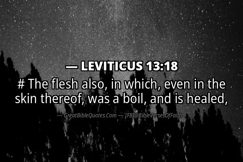 LEVITICUS 13:18 Verse