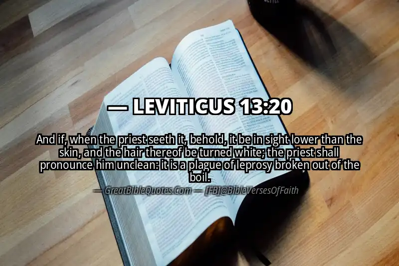LEVITICUS 13:20 Verse Image