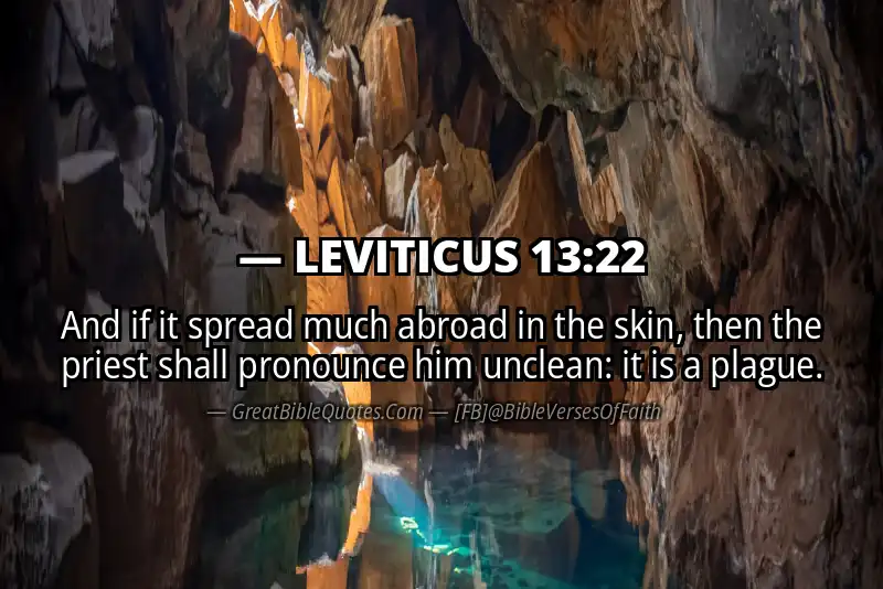 LEVITICUS 13:22 Verse