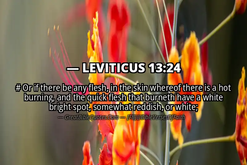LEVITICUS 13:24 Verse Image