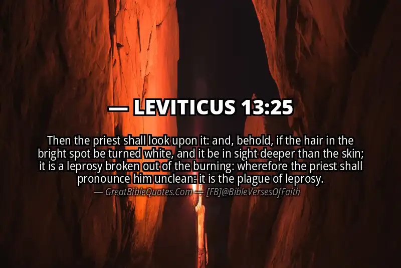 LEVITICUS 13:25 Verse