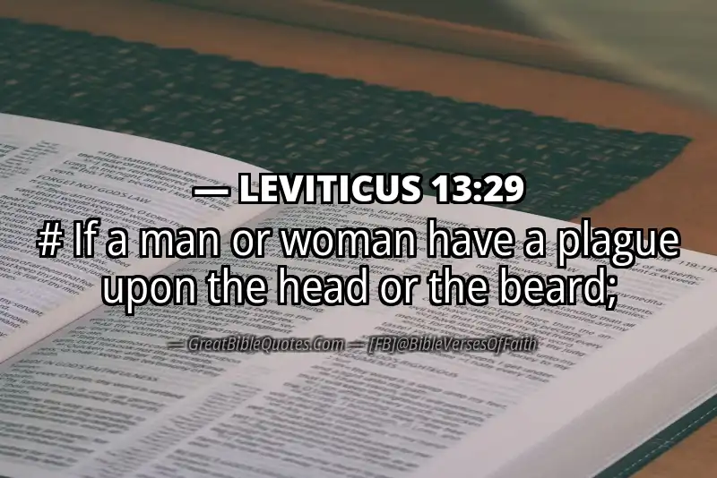LEVITICUS 13:29 Verse