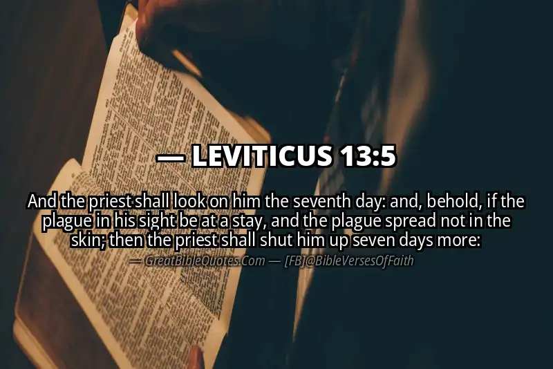 LEVITICUS 13:5 Verse