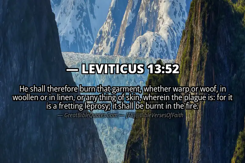 LEVITICUS 13:52 Verse