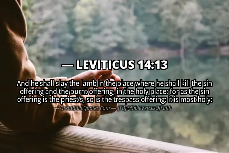 LEVITICUS 14:13 Verse Image
