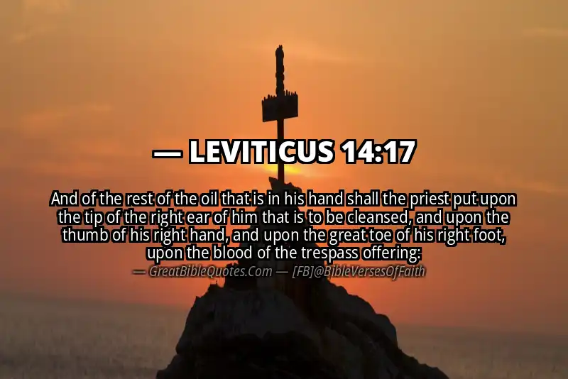 LEVITICUS 14:17 Verse