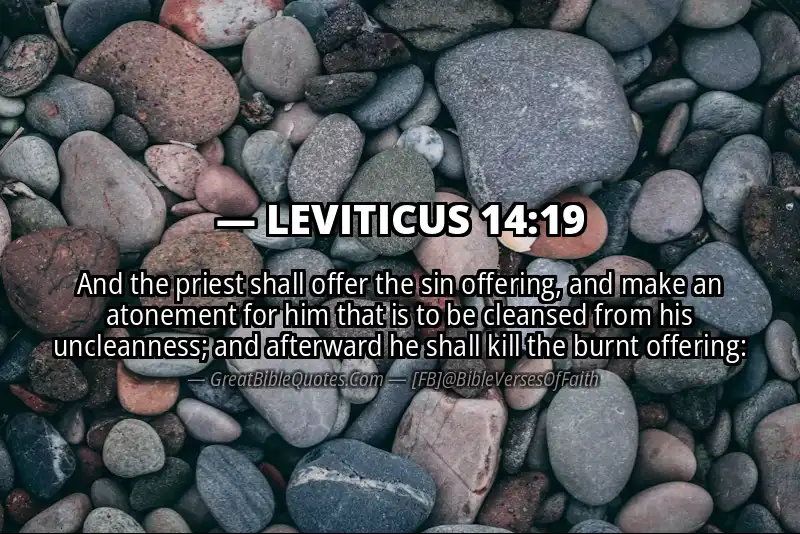 LEVITICUS 14:19 Verse