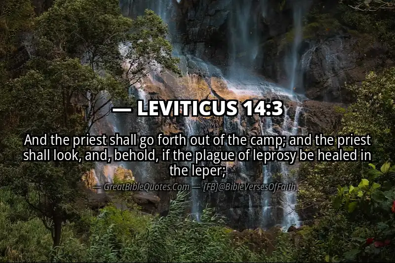 LEVITICUS 14:3 Verse