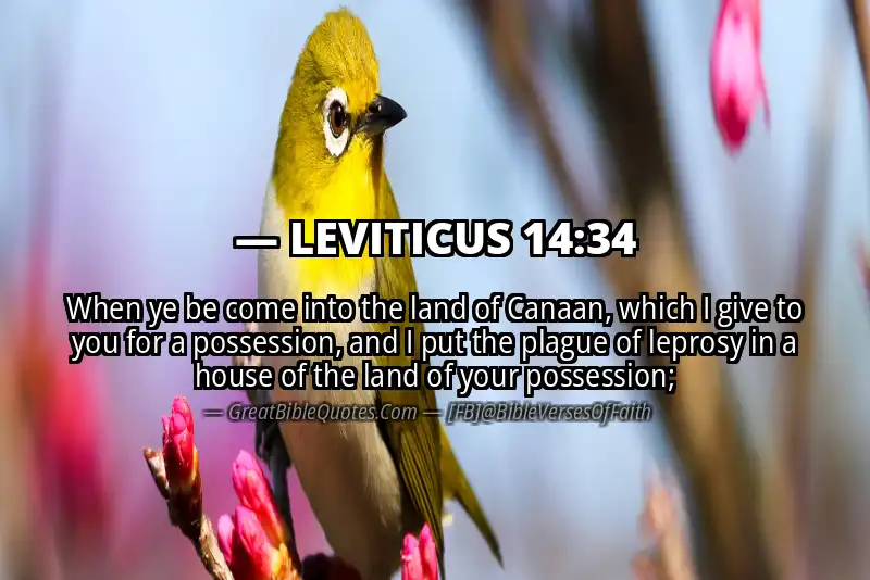 LEVITICUS 14:34 Verse