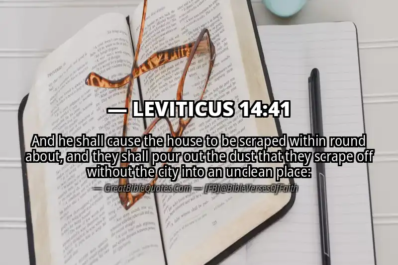 LEVITICUS 14:41 Verse